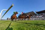 200726-Race 2-Opal Storm-3544