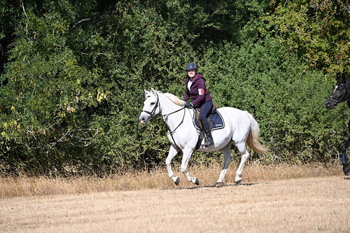WJ6_8141