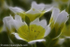 RAL_D7A7635