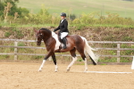 SBM_001896