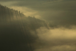 Early morning mist, LLangollen, North Wales