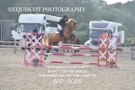 BPP_9088