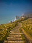 Jurassic Steps