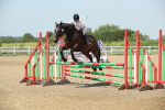 SBM_012199