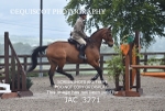 CLASS 8 BHS Scotland Riding Club Working Hunter Qualifier portfolio