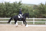 SBM_002975