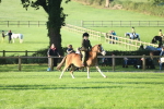 SBM_37225