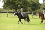 SBM_71490