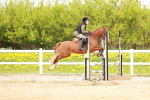 SBM_005338