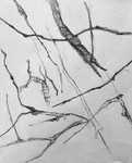 Bogland Matter 28, 16cm x20cm