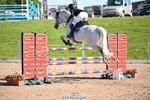 Cls 13 Snr Foxhunter portfolio