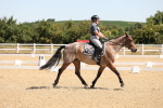 SBM_001165