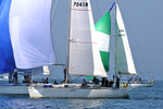 180707 ANTICIPATION GBR4041R 2F7A6350