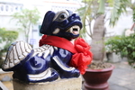 VIET_0416