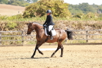 SBM_001687