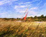 NB3  Speeding through the Reeds