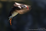 Landing approach