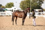 SBM_08203