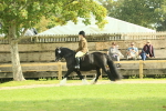 SBM_66616