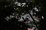 FOM_4067