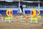 SBM_001690