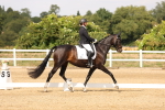 SBM_001931