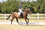 SBM_006529