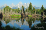 Tetons Reflections Watermarked