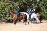 WJ6_8347