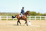 SBM_000135