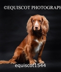 equiscot1544