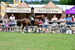 SBM_07949