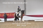 BPP_5654