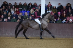 SBM_006421