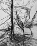 Bogland Matter 21, 16cm x 20cm