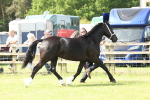 SBM_02236