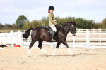 SBM_14241