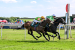 300526-Race 3-Mr Writer-0446