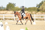 SBM_016976