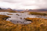 Landscapes portfolio