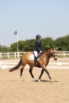 SBM_004393