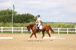 SBM_000633