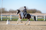 SBM_004404