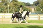SBM_67593
