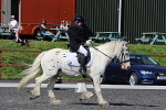 SIAL0462