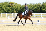 SBM_009536