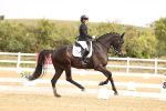 SBM_012848