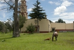 San Felipe Apóstol, church & atrio