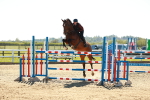 SBM_001924