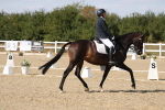 SBM_022587